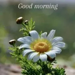 Ishan photo on Jungo Live