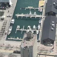 Weatherman photo on Jungo Live