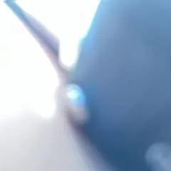 Kat.... photo on Jungo Live