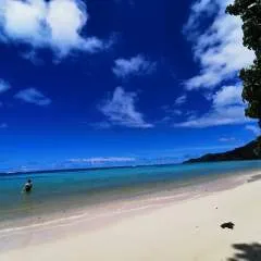 Józef Kafka photo on Jungo Live