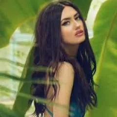 Amir photo on Jungo Live