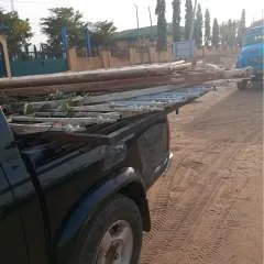 Bado photo on Jungo Live