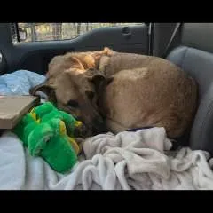 Steven photo on Jungo Live