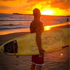 The Seahorse photo on Jungo Live