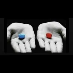 Quadl photo on Jungo Live