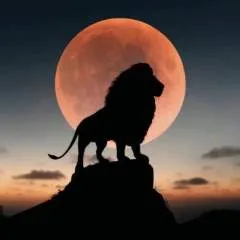 Quadl photo on Jungo Live