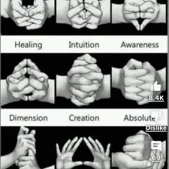 Quadl photo on Jungo Live