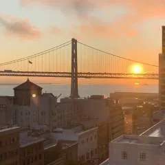 Quadl photo on Jungo Live