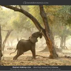 Craig photo on Jungo Live