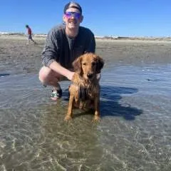 Brisen photo on Jungo Live