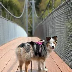 Margob photo on Jungo Live