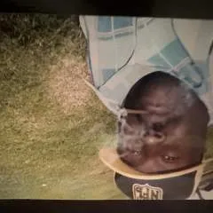 Guest photo on Jungo Live