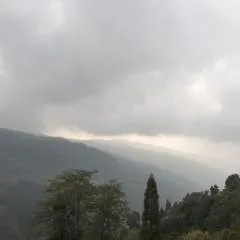 Vince photo on Jungo Live