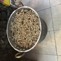 Anna Binkiewicz photo on Jungo Live