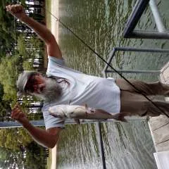 Buddro photo on Jungo Live