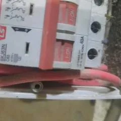 Tican photo on Jungo Live