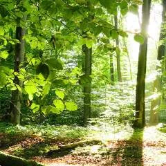 Fffmarox photo on Jungo Live