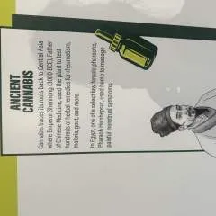 Desire photo on Jungo Live