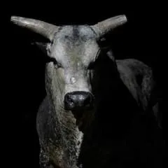 Engiinzaluu photo on Jungo Live