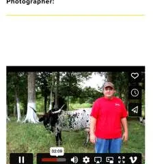 Greighaulsgreighauls photo on Jungo Live