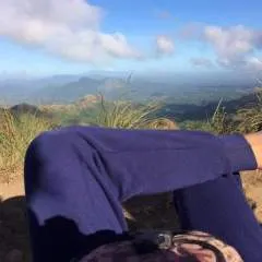 Shikateshi photo on Jungo Live