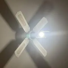 Guri photo on Jungo Live