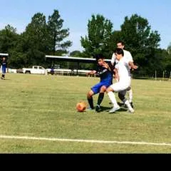 Robert photo on Jungo Live