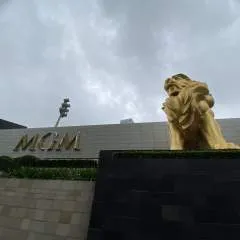 David photo on Jungo Live