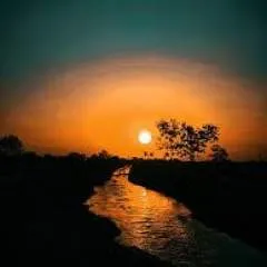 Donbhai69 photo on Jungo Live