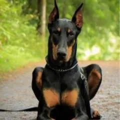 Guest photo on Jungo Live