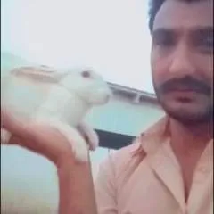 Mûjáhîd Bâlôçh photo on Jungo Live