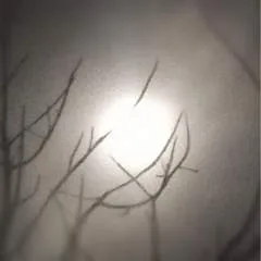 Costeñol photo on Jungo Live