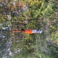 90sbabies photo on Jungo Live