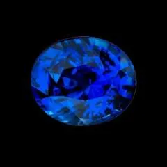 Adam photo on Jungo Live