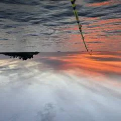 Steph38 photo on Jungo Live