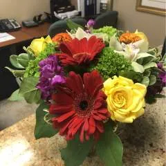 Schnecke photo on Jungo Live