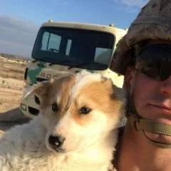 Maximum photo on Jungo Live