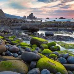 Subkoh photo on Jungo Live