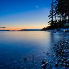 Subkoh photo on Jungo Live