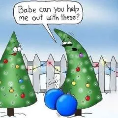 Aimtoplease photo on Jungo Live