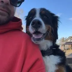 Kittylicker26 photo on Jungo Live