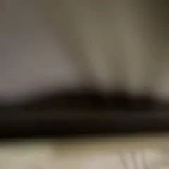 Prood photo on Jungo Live