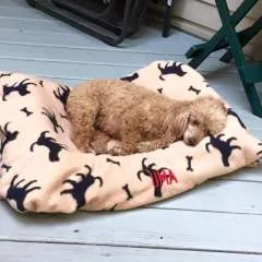 Sarah photo on Jungo Live