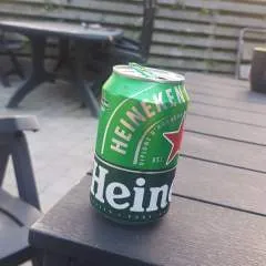 Todd photo on Jungo Live