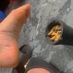 Monica photo on Jungo Live