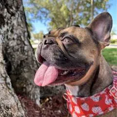 Sky_kita photo on Jungo Live