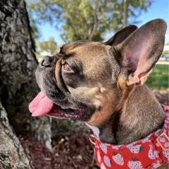 Sky_kita photo on Jungo Live