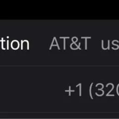 Sophia photo on Jungo Live