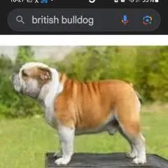 Martin........ photo on Jungo Live