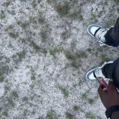 Teddy photo on Jungo Live